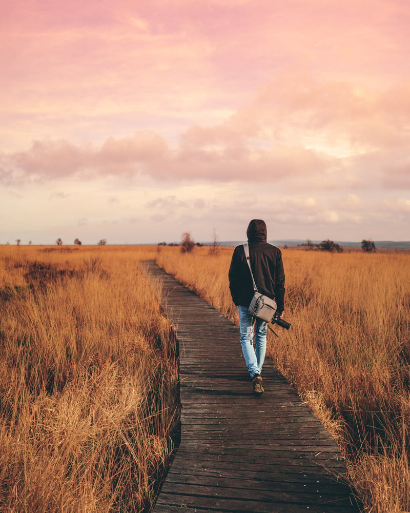 Man in Black Jacket Walking on Brown Wooden Pathway Between Brown Grass Field